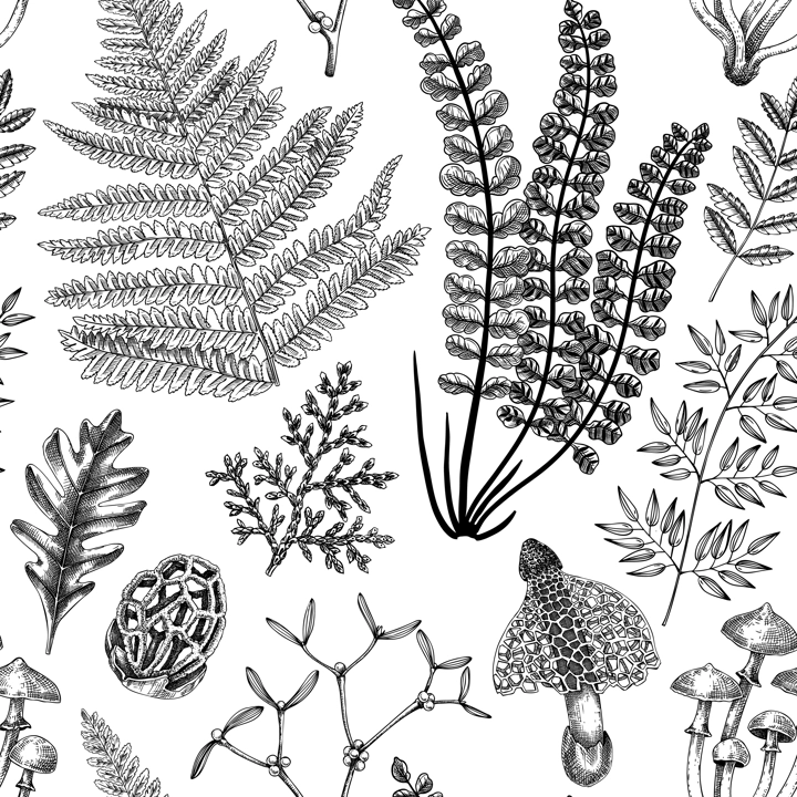 Vector seamless pattern with fern leaf, mushrooms, fall leaves and autumn plant sketches. Monochrome botanical repeating texture. Hand drawn autumn forest background. Vintage nature design for print